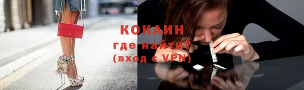 индика Иннополис