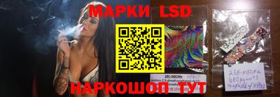 шишки Бердск
