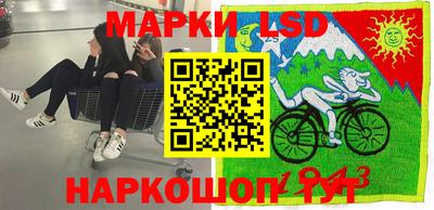 шишки Бердск