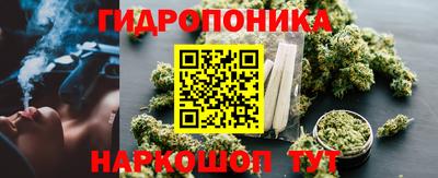 шишки Бердск