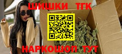 шишки Бердск