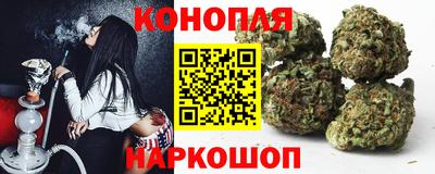 шишки Бердск