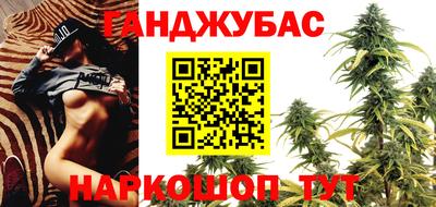 шишки Бердск