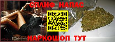 шишки Бердск