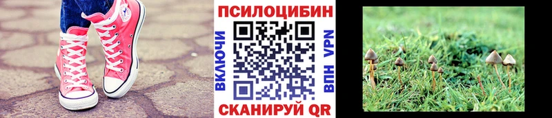 mega зеркало  Бийск  Галлюциногенные грибы Psilocybine cubensis 
