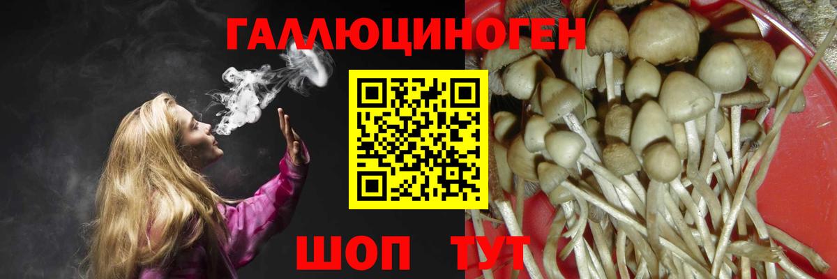 Бийск  купить закладку  Вход с VPN  Галлюциногенные грибы MAGIC MUSHROOMS 